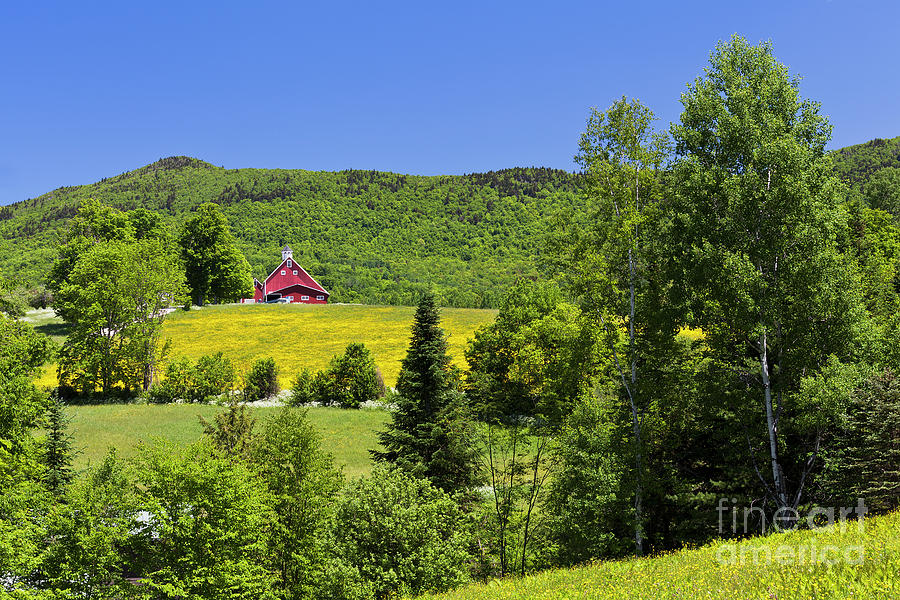 Vermont June Countryside Photograph by Alan L Graham