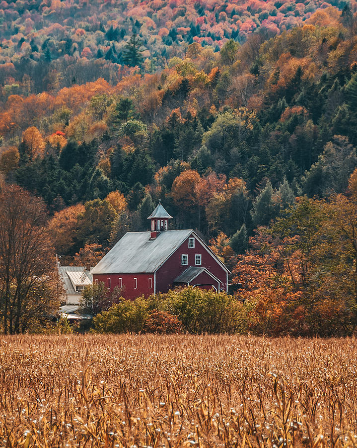 Vermont Photograph by Mary Graves | Fine Art America