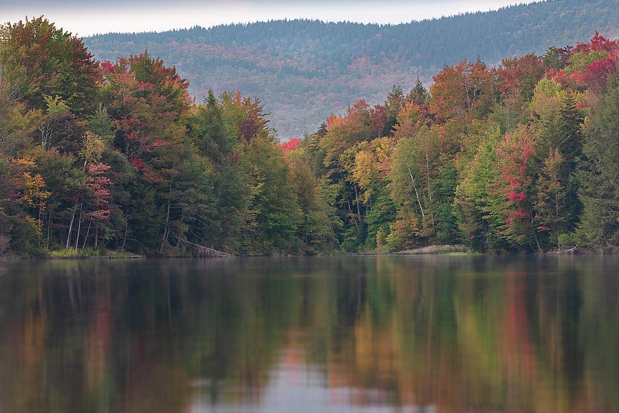 Vermont Pond Foliage Photograph by Lisa Allard - Fine Art America