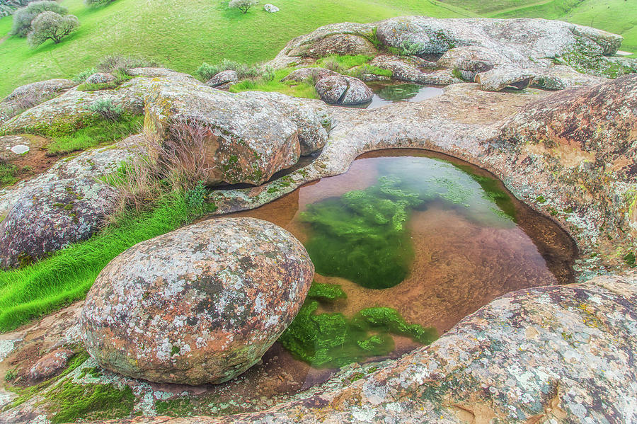 Vernal Pool at Vasco Caves Photograph by Marc Crumpler
