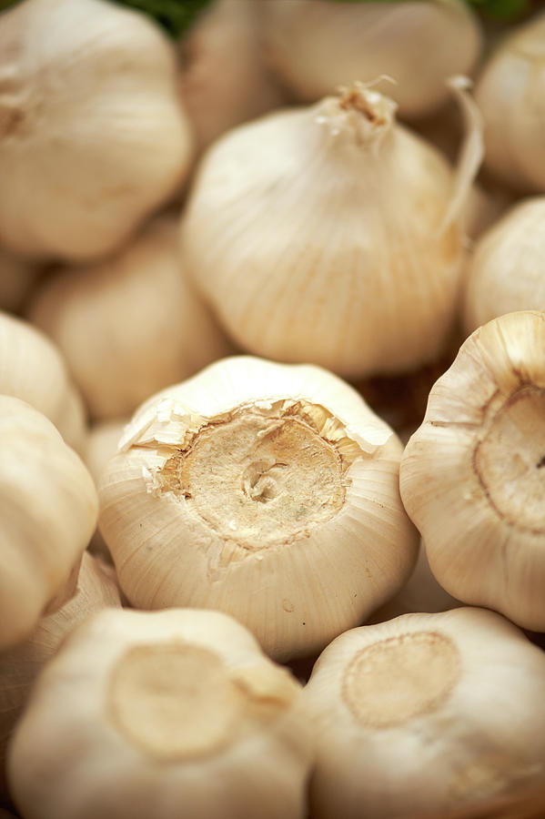 Vertical Garlic Bulbs Photograph by Cameron Davidson Vertical Garlic Bulbs Photograph by Cameron Davidson