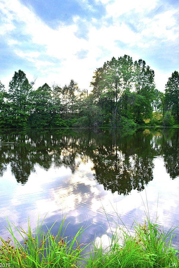 Vertical Reflections Photograph by Lisa Wooten