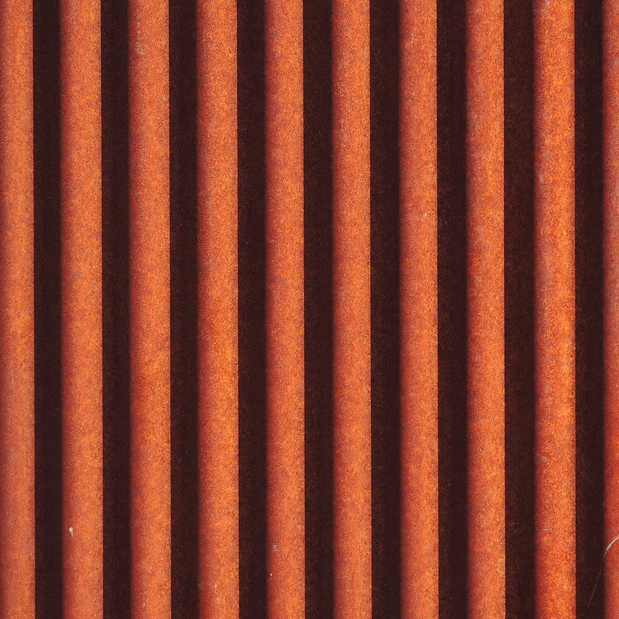 Vertical Rust Photograph by Bill Tomsa