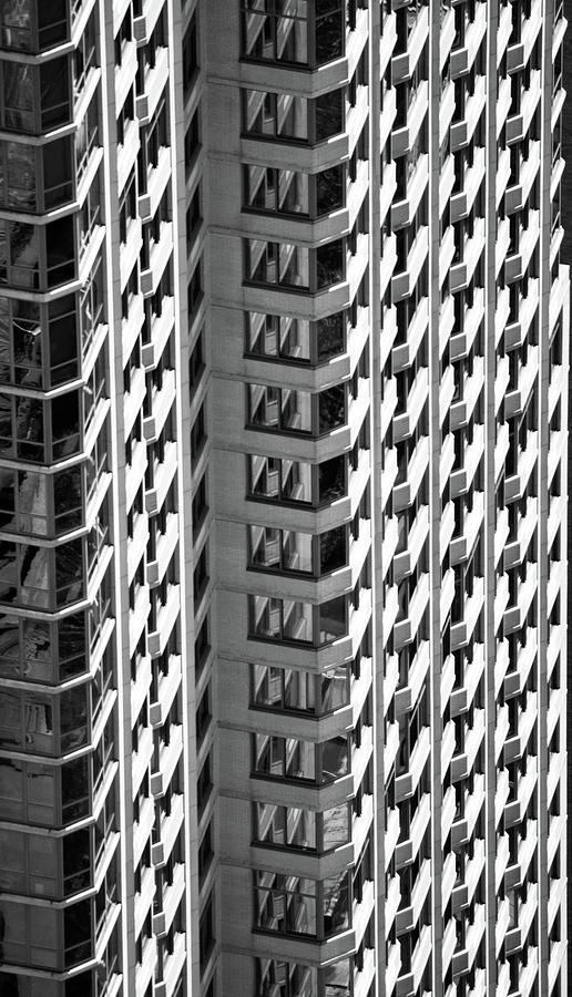 Vertical x Four Photograph by Dennis Knasel - Fine Art America