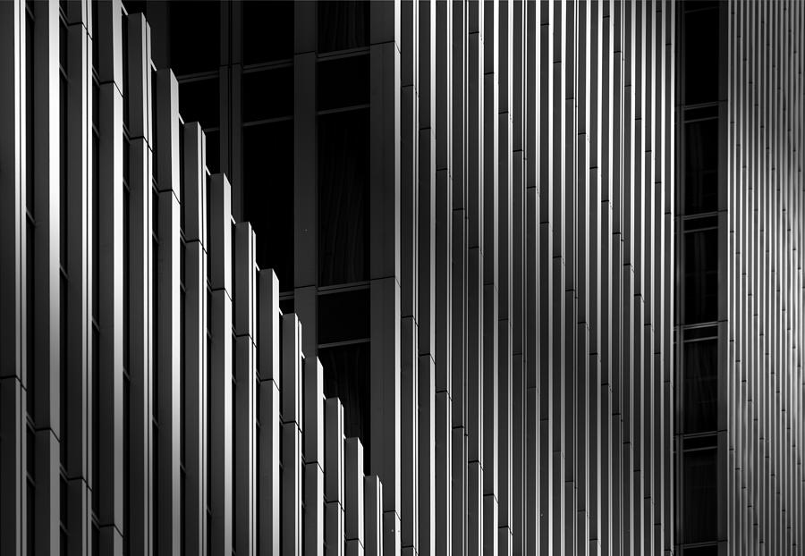 Verticals With A Twist Photograph by Greetje Van Son