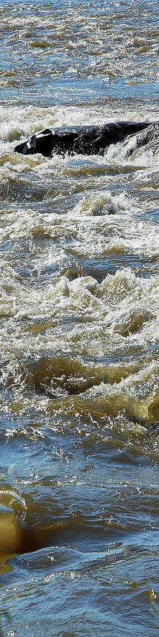 Verto 7- Potomac River Waves Photograph