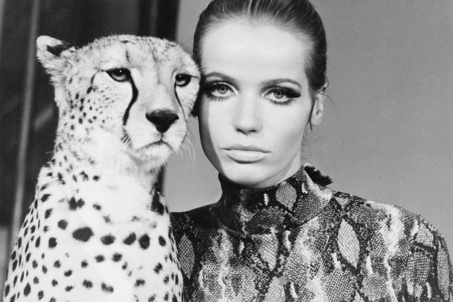 Veruschka With Cheetah Photograph by Franco Rubartelli