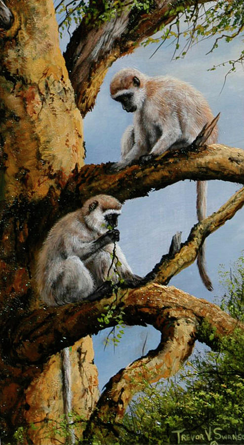 Wildlife Painting - Vervet Pair by Trevor V. Swanson