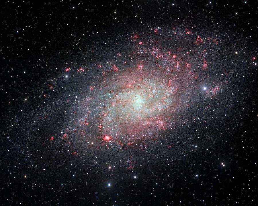 Very Detailed View of the Triangulum Galaxy Photograph by Adam Romanowicz