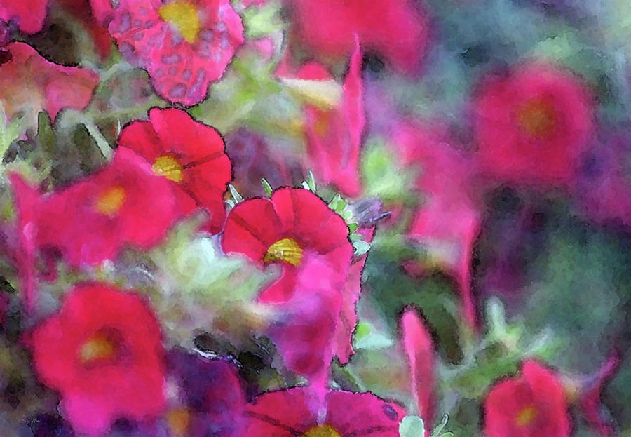 Very Red 6556 IDP_2 Photograph by Steven Ward