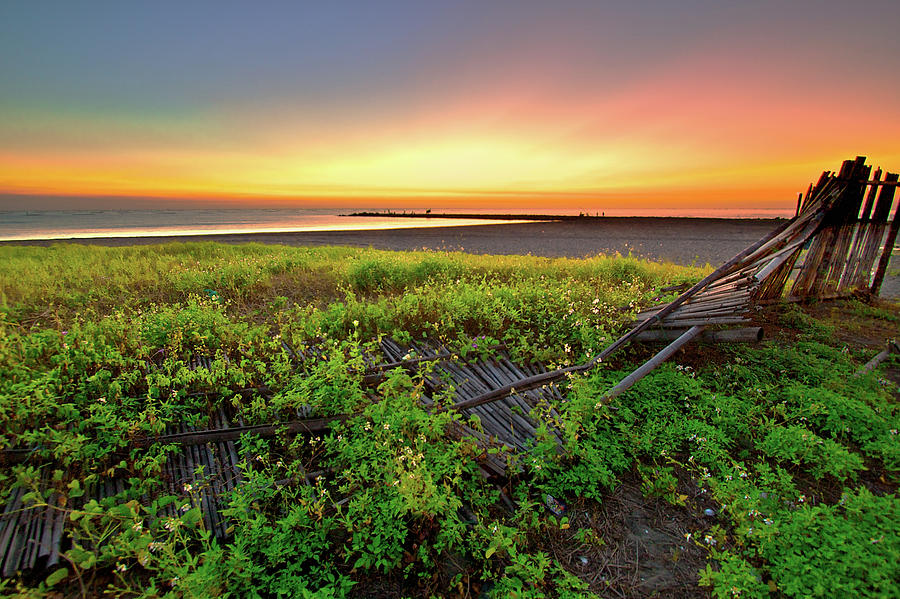 Vibrant Dusk In Four Weeds Shicao Beach Photograph by Sunrise@dawn Photography