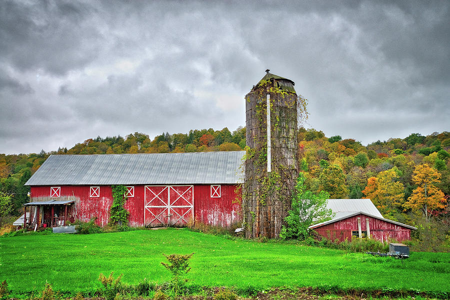 Vibrant Farm Life in the Finger Lakes Photograph by Lynn Bauer