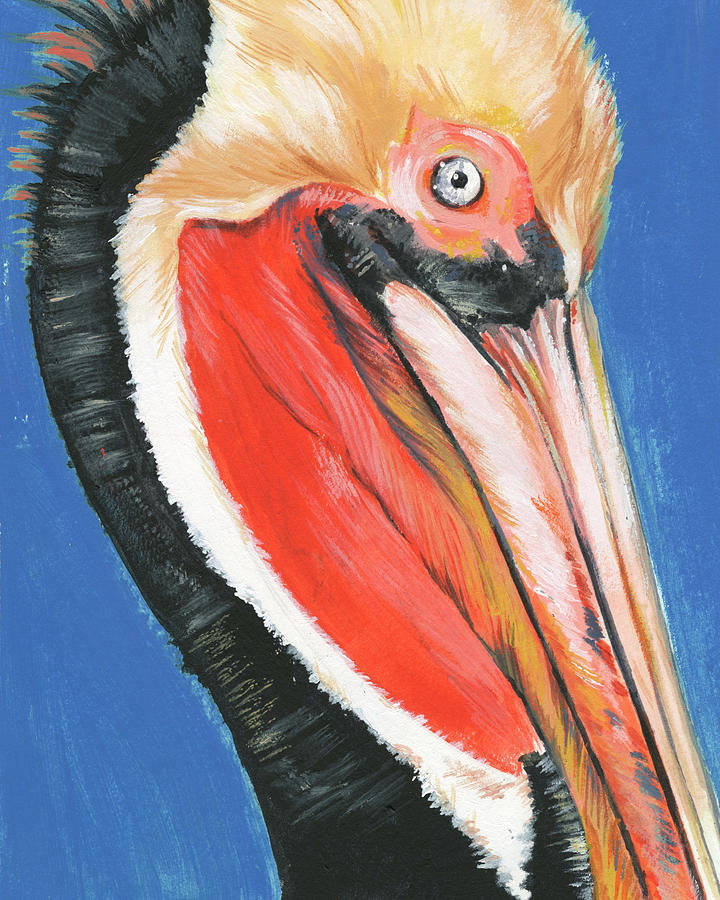 Vibrant Pelican II Painting by Jennifer Paxton Parker - Fine Art America