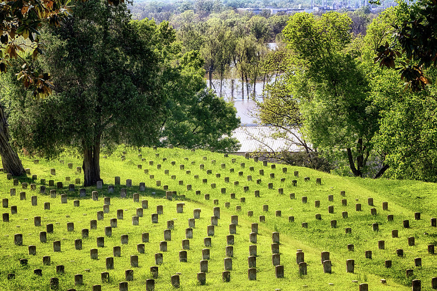 Vicksburg National Cemetery Photograph by Susan Rissi Tregoning