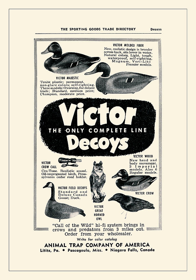 Victor Decoys Painting by Unknown