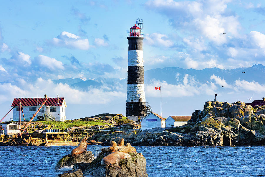 Victoria Canada Lighthouse Photograph by Mike Centioli