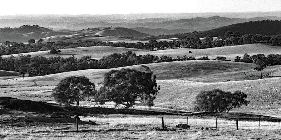 Victoria Countryside Photograph by Jerry Griffin