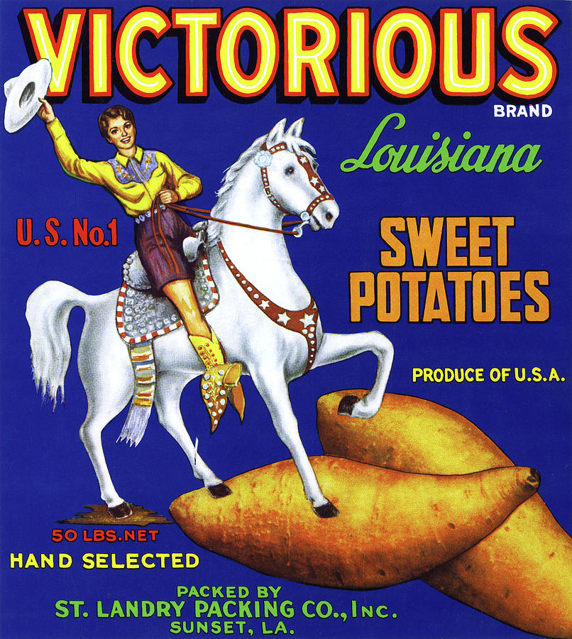 Victorious Sweet Potatoes Painting by Unknown