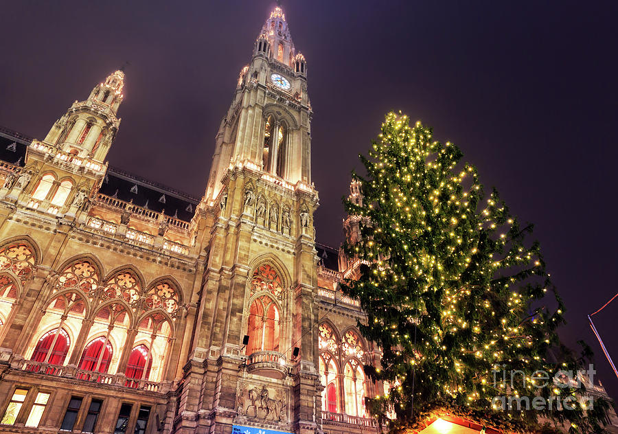 Vienna Rathaus Christmas Tree at Night Photograph by John Rizzuto