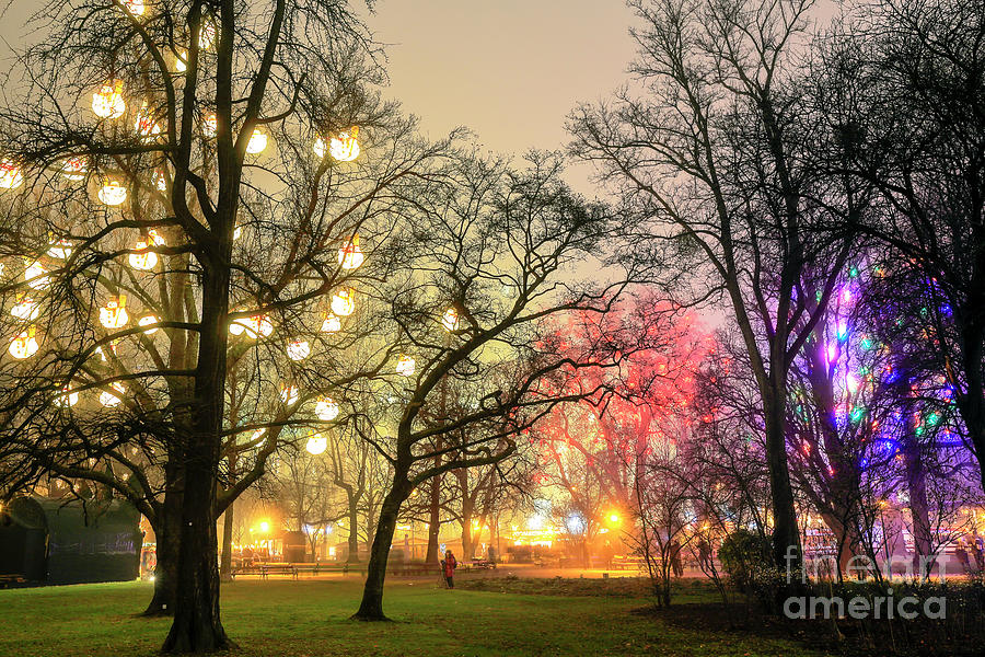 Vienna Rathauspark Christmas Glow at Night Photograph by John Rizzuto