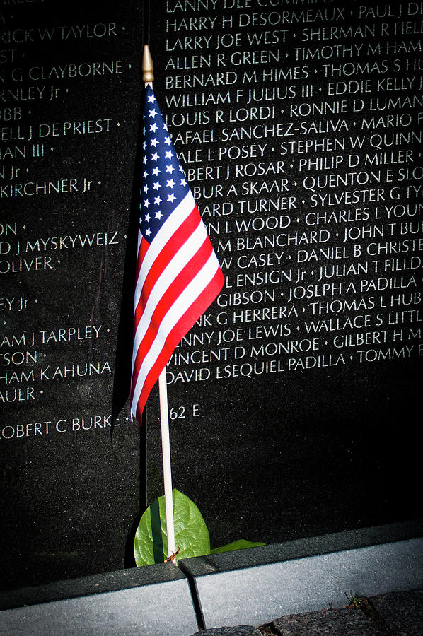 Viet Nam Lone Tribute Photograph by Ginger Stein