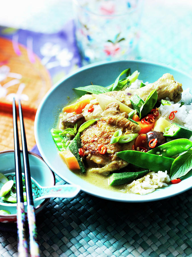 Vietnamese Chicken Curry Photograph by Karen Thomas