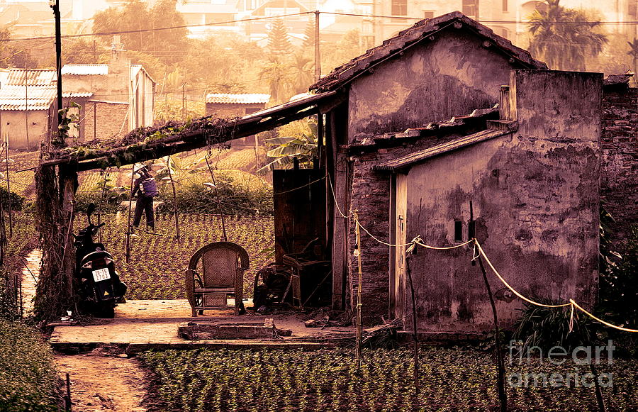 Vietnamese home garden Hanoi  Digital Art by Chuck Kuhn