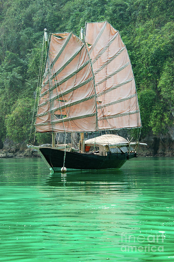 Vietnamese Junk with Sails Photograph by Bob Phillips