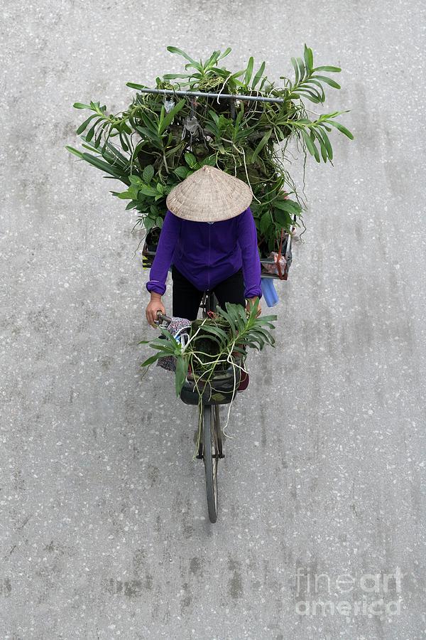 Vietnamese Plant Vendor In Hanoi Photograph by Tony Camacho/science Photo Library