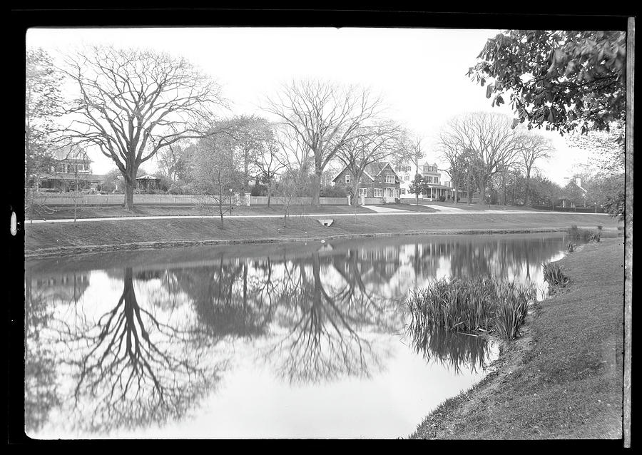 View Across East Hampton Town Pond To Photograph by The New York Historical Society