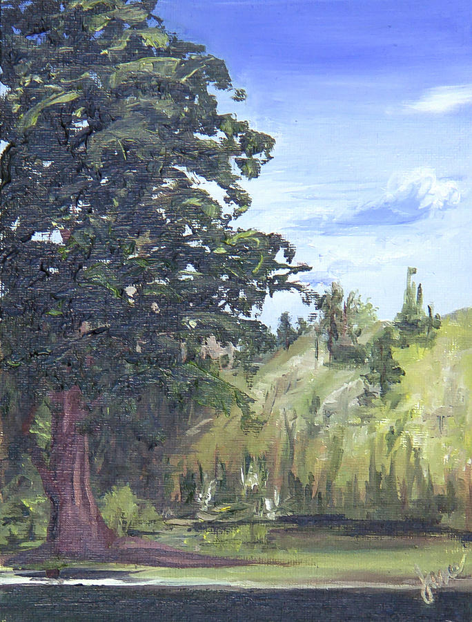 View Across Silver Lake Painting by Nila Jane Autry