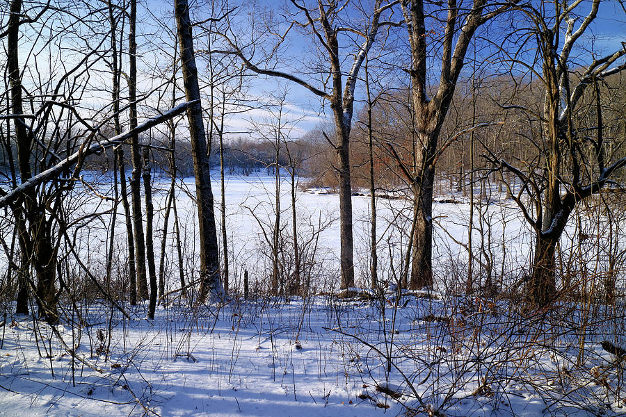 View Across the Frozen Lake Photograph by Scott Kingery