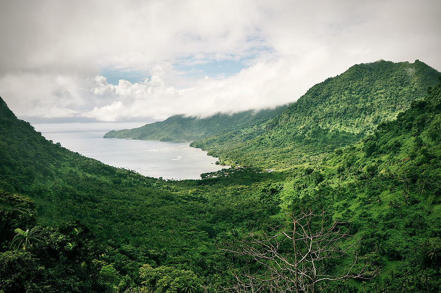 Jungle Photograph - View At Bay And Tropical Mountains With Rainforest, Upolu, Samoa, Southern Pacific by Gnther Bayerl