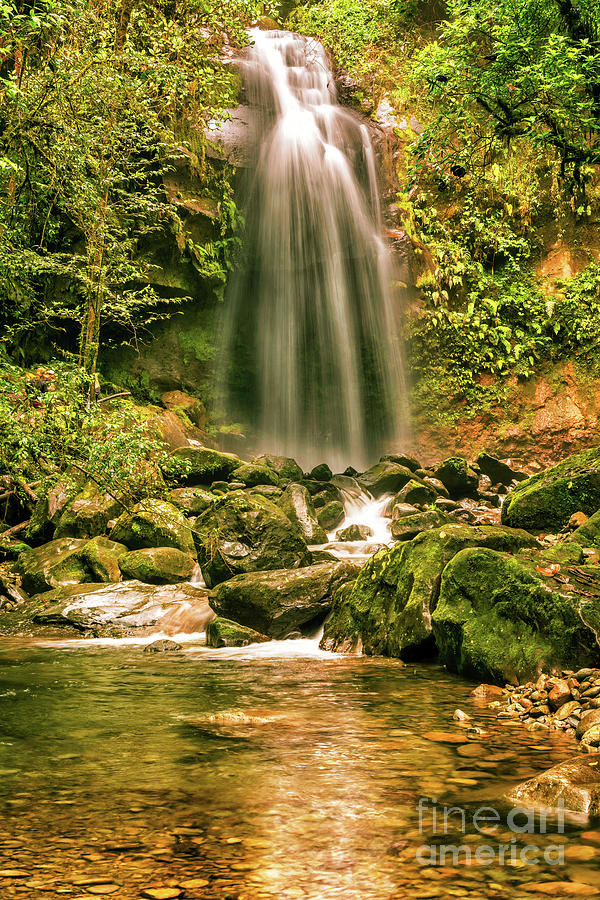 View At The Lost Waterfall  Near Boquete In Panama. Photograph