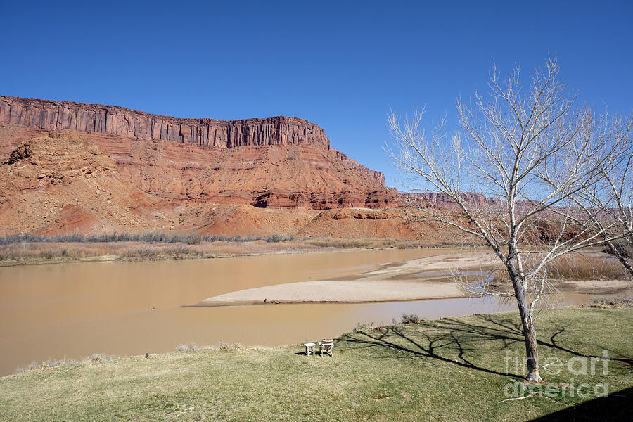 View from a cabin at Sorrel River Ranch on the Colorado River ne Photograph by William Kuta