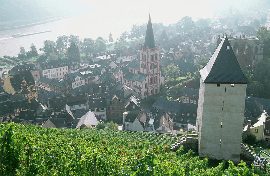 View From A Vineyard To Bacharach, Rhineland-palatinate, Germany Photograph by Hendrik Holler