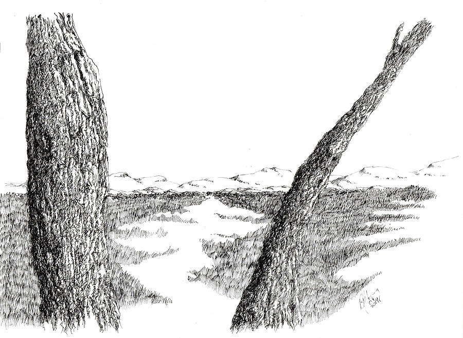 View from Acacia tree Drawing by Bruce Young | Fine Art America