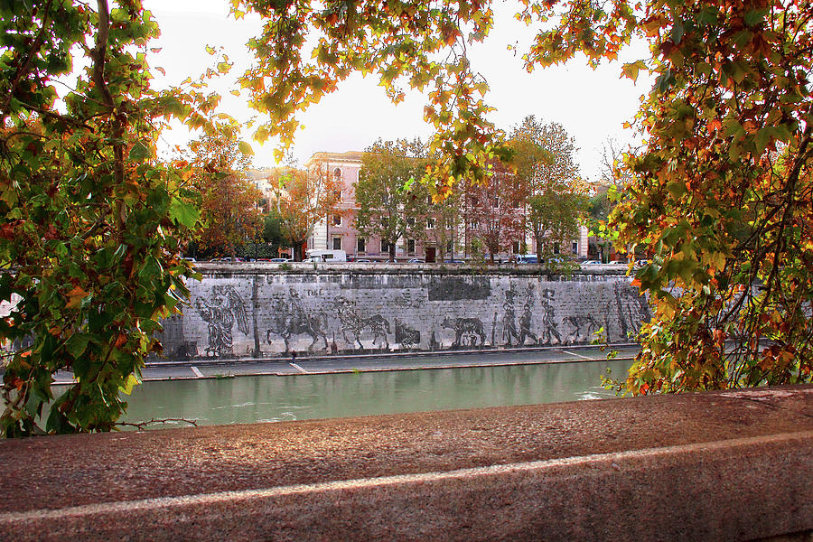 View From Across The Tiber To Triumphs And Laments Commissioned Mural Photograph
