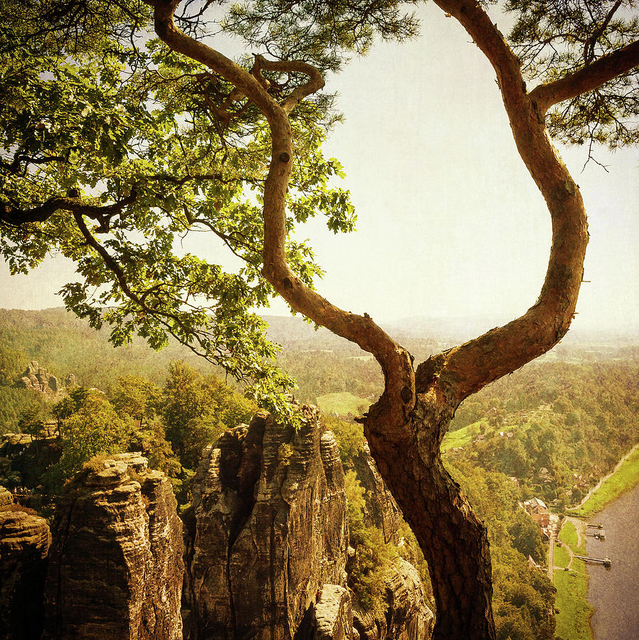 View From Bastei, Saxon Switzerland Photograph by Juste Pixx