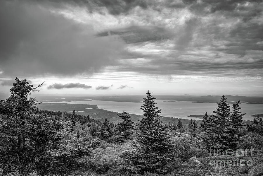 Acadia National Park,maine-view From Cadillac Mountain Bw  Photograph by Judy Wolinsky