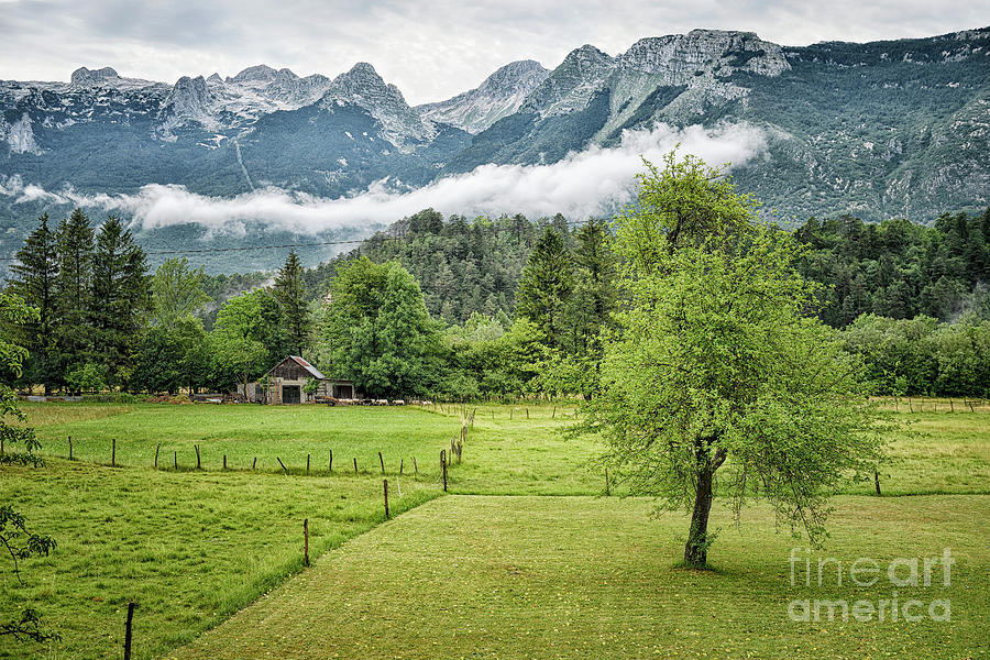 View From Cezsoca Photograph by Norman Gabitzsch