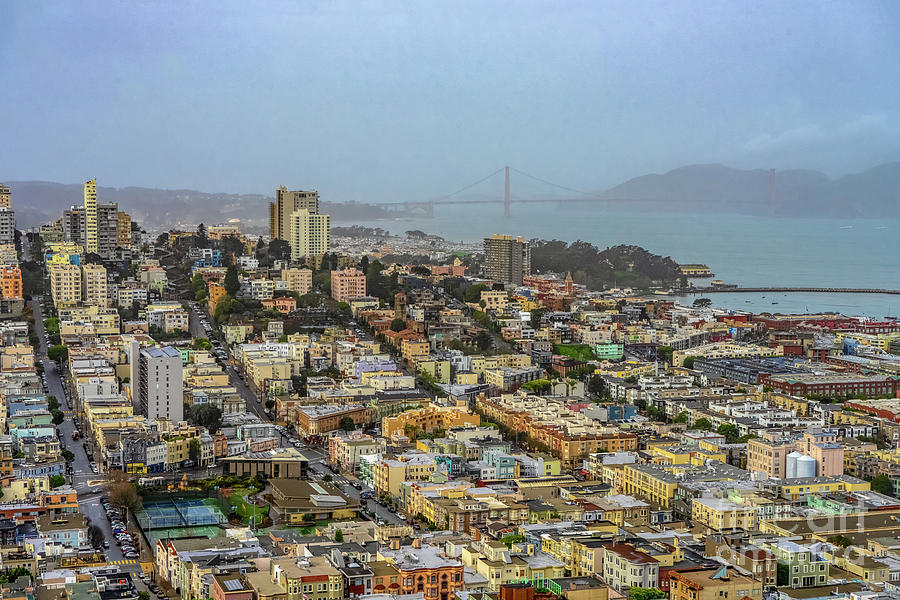 View from Coit Tower Photograph by Roxie Crouch