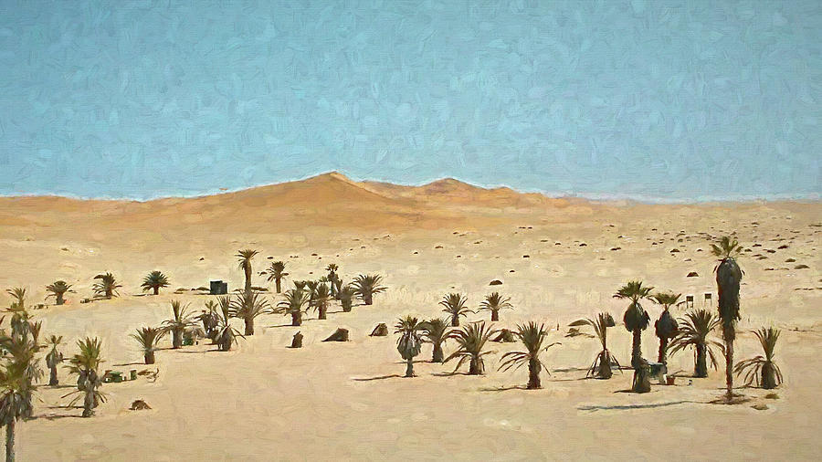 View from Dune 7 Namibia Ver6 Digital Art by Ernest Echols