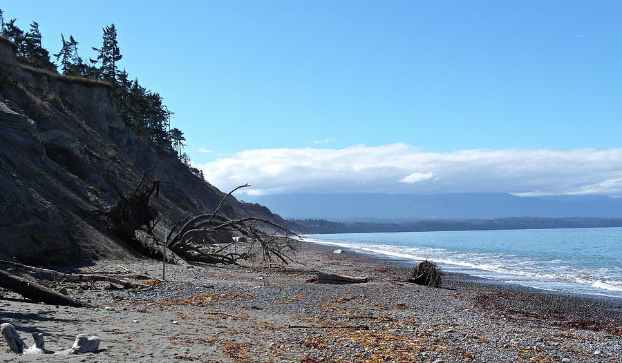 View from Dungeness Spit Photograph by Michele Myers