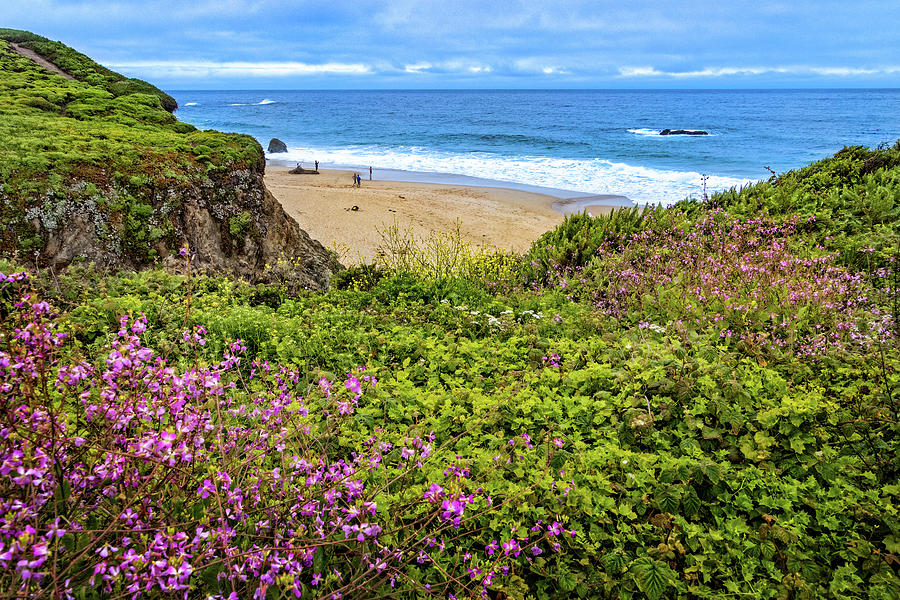 View from Garrapata Beach Trail Photograph by Carolyn Derstine