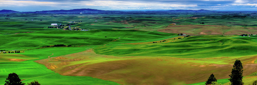 Landscape Photograph - View from Kamiak by David Patterson