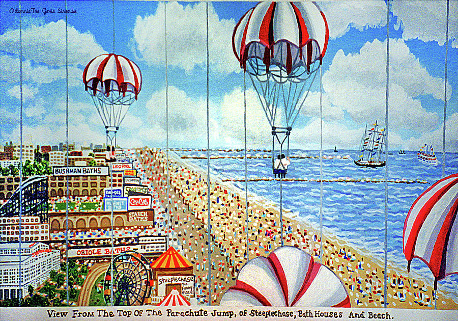 View From Parachute Jump Full Pillow 20 Painting by Bonnie Siracusa
