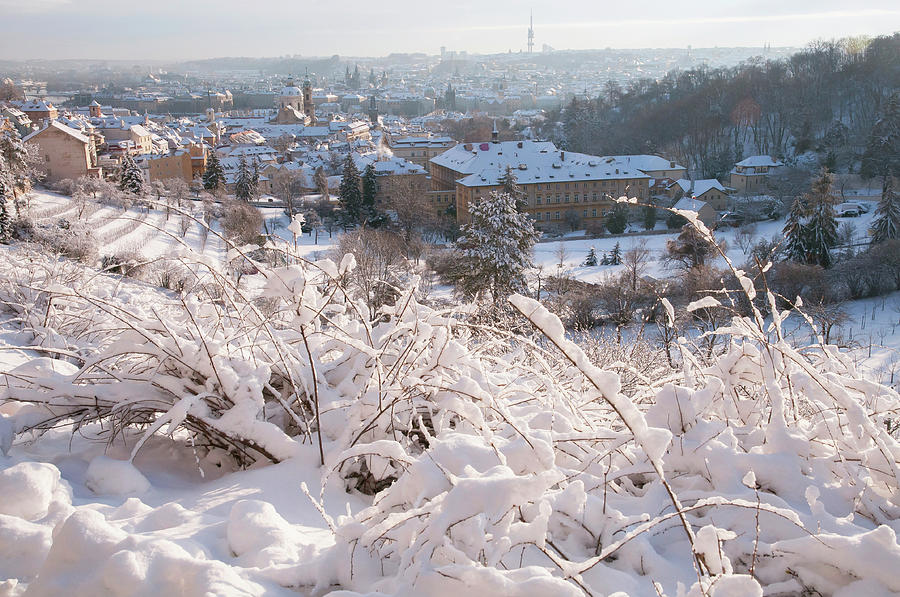 View from Petrin Hill to Snowy Prague Photograph by Jenny Rainbow
