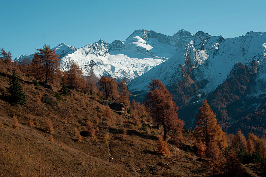 View From Schmirn Valley To The Olperer, Tux Alps, Tyrol, Austria Photograph by Peter Umfahrer