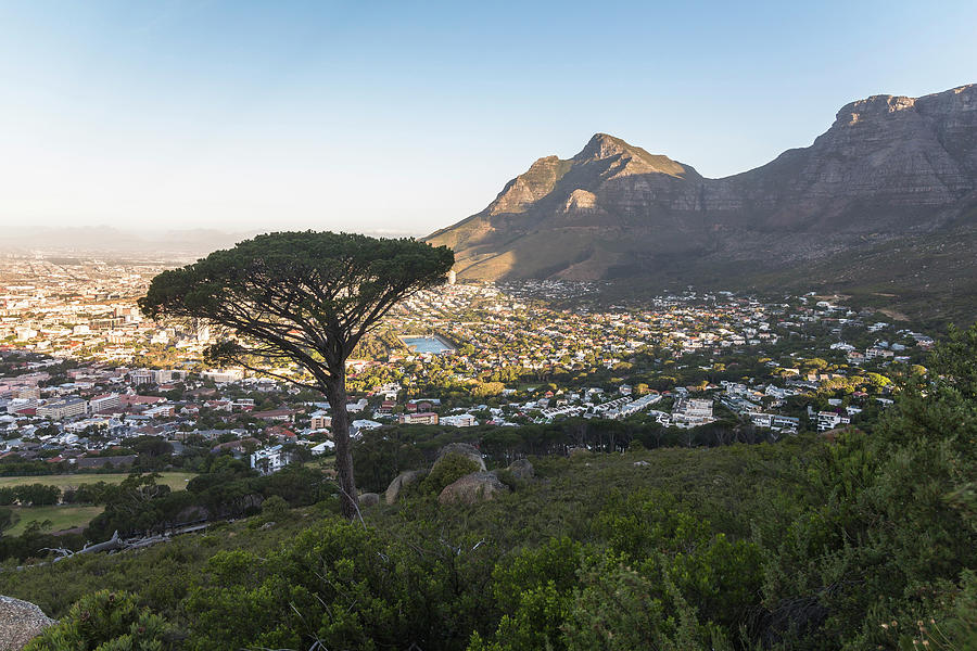 View From Signal Hill Viewpoint Over Cape Town In The Evening Light, South Africa Photograph by Robin Runck